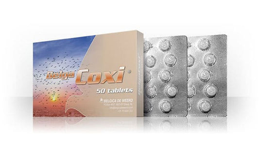 Belga Coxi - 50 Tablets