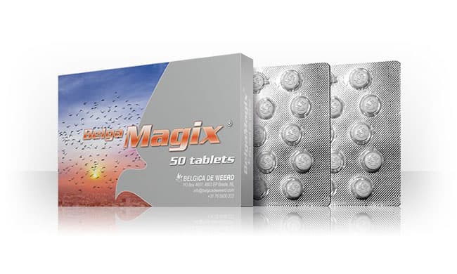 BelgaMagix - 50 Tablets