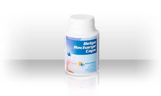 Belga Recharge - 100 Capsules