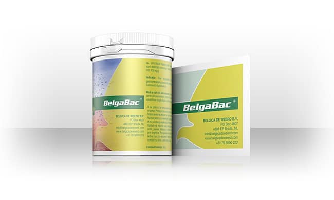 BelgaBac - 10 x 5g / 300g