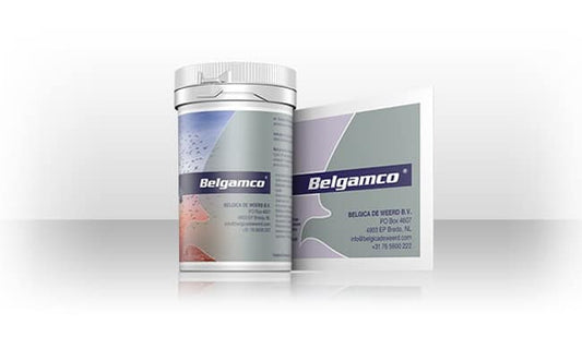 Belgamco - 10 x 5g / 80g